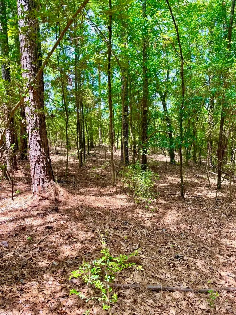 1141 Whitehead Lane Jackson AL 36545