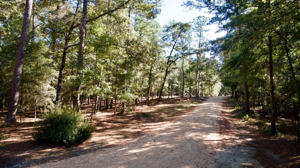 340 Walker Springs Road Jackson AL 36545