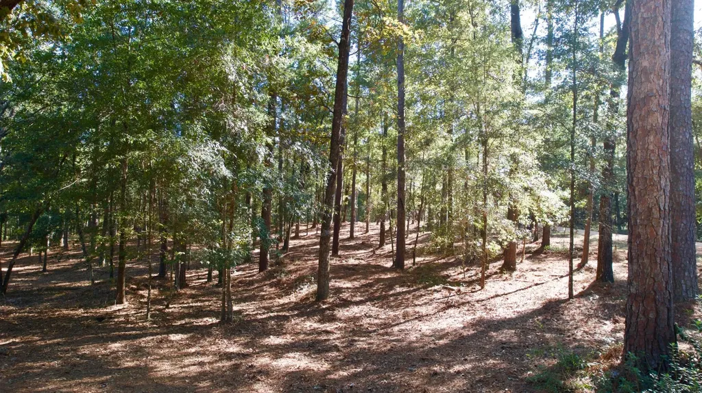 340 Walker Springs Road Jackson AL 36545