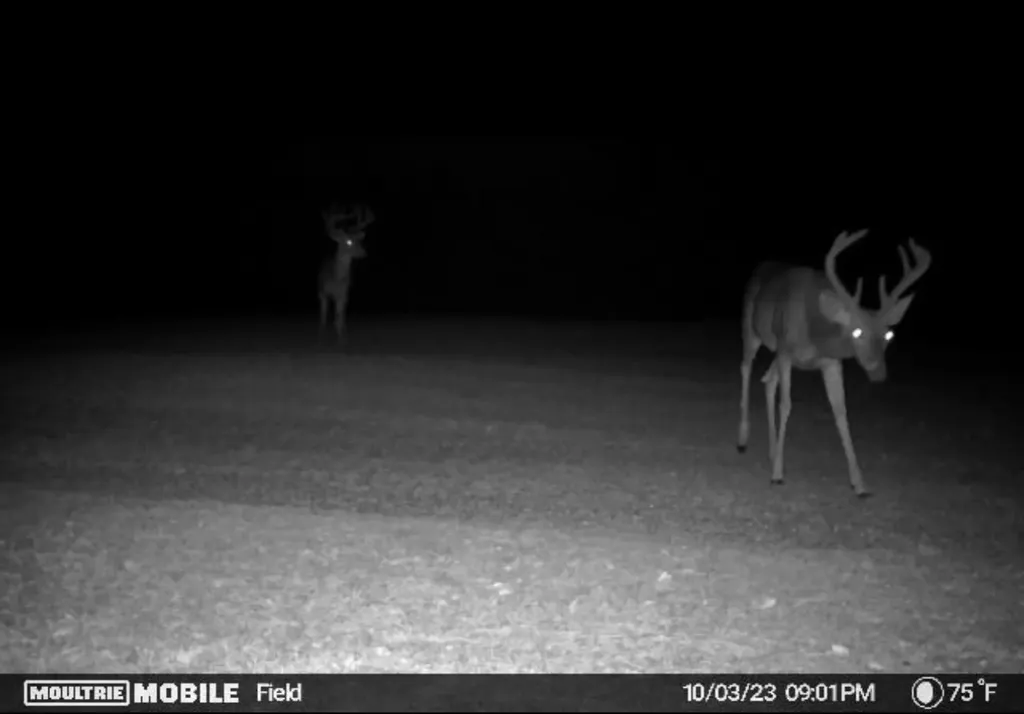 340 Walker Springs Road Jackson AL 36545