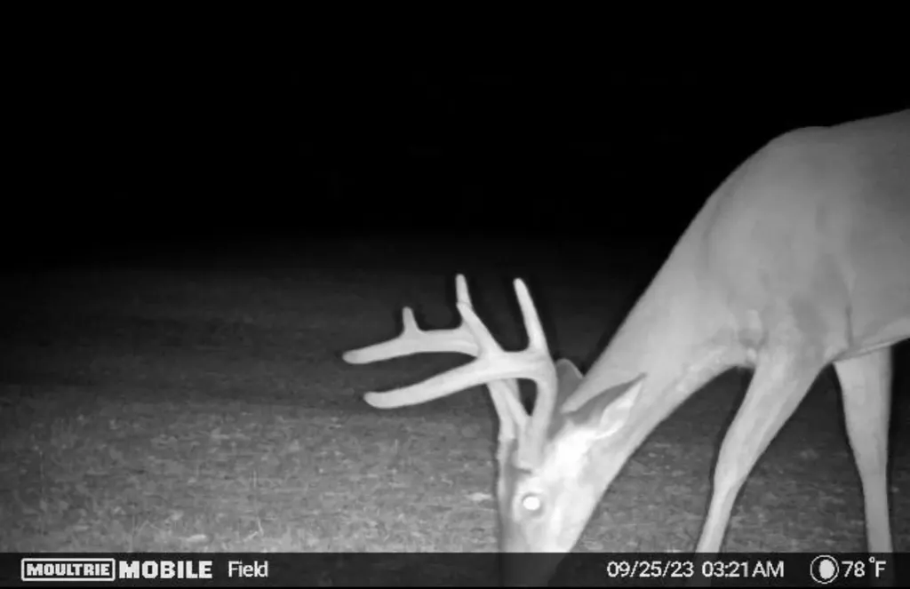 340 Walker Springs Road Jackson AL 36545