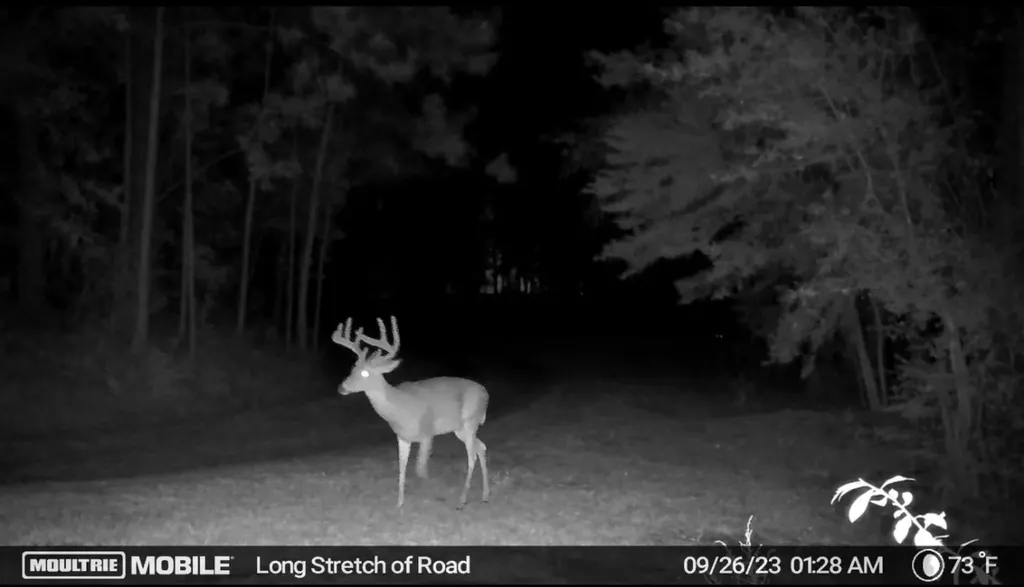 340 Walker Springs Road Jackson AL 36545