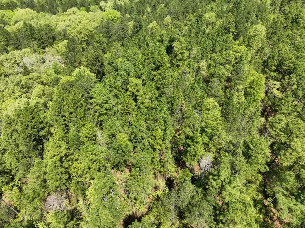 1 Ollie Mccullough Road Sprott AL 36756