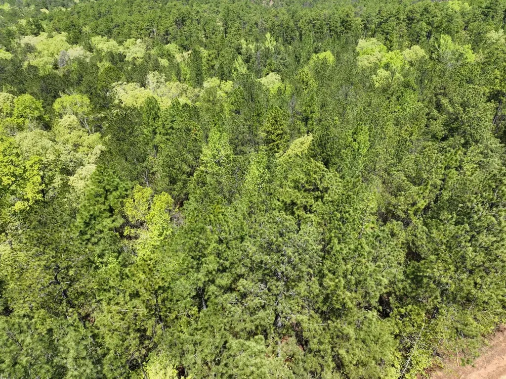 1 Ollie Mccullough Road Sprott AL 36756