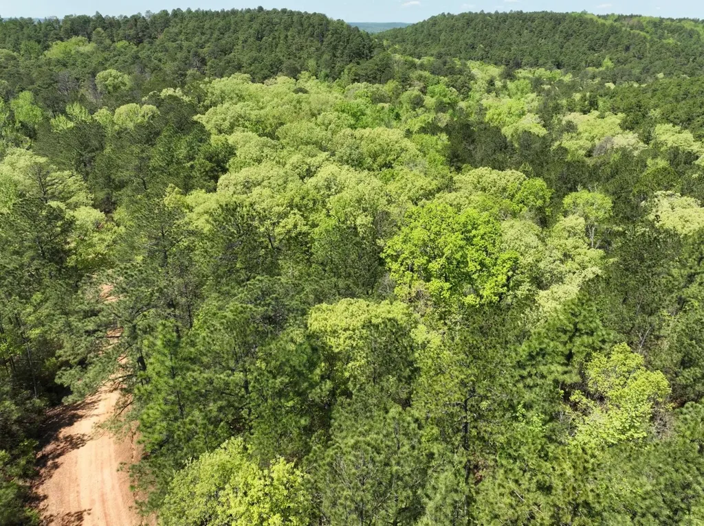 1 Ollie Mccullough Road Sprott AL 36756