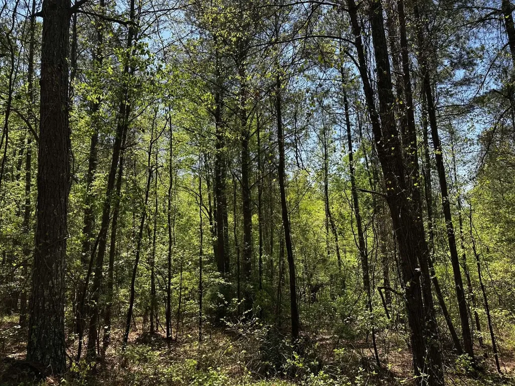 1 Ollie Mccullough Road Sprott AL 36756