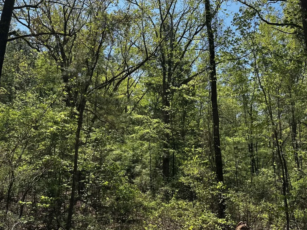 1 Ollie Mccullough Road Sprott AL 36756