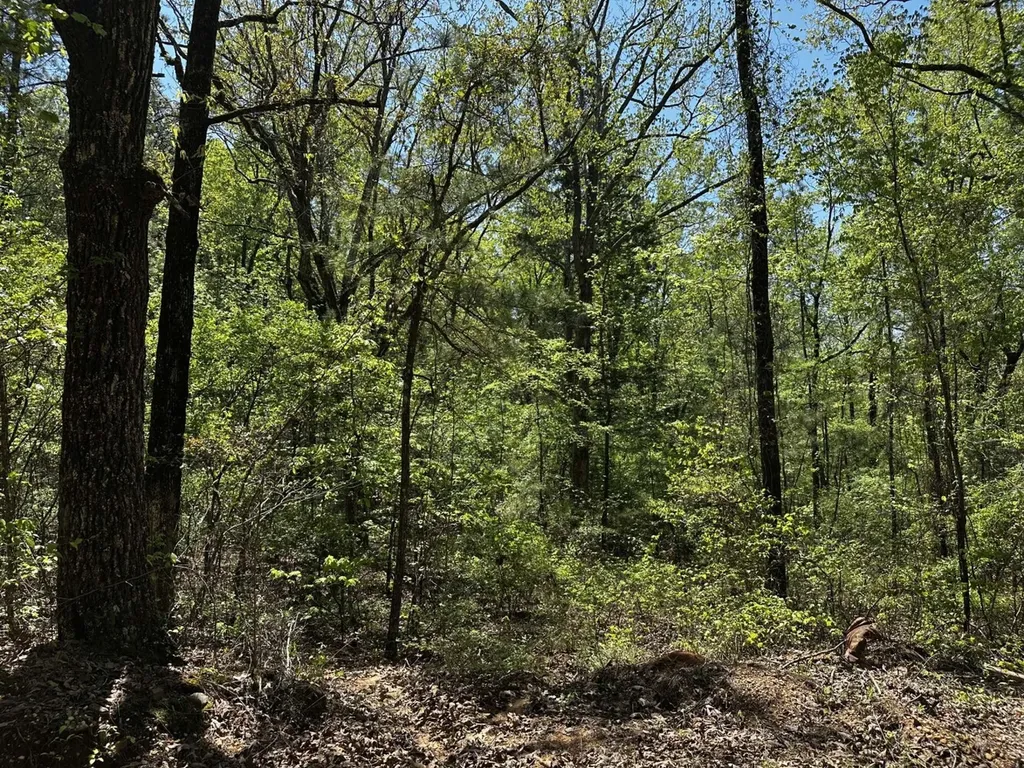 1 Ollie Mccullough Road Sprott AL 36756