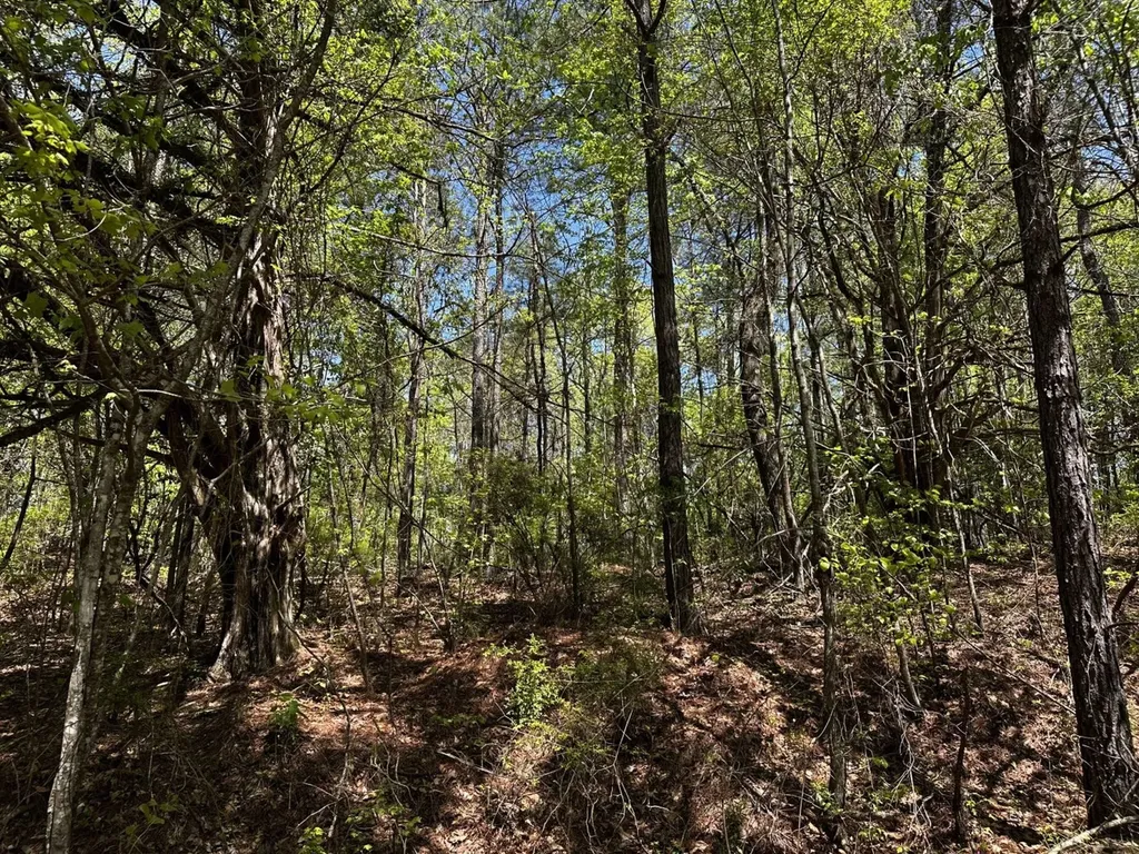 1 Ollie Mccullough Road Sprott AL 36756