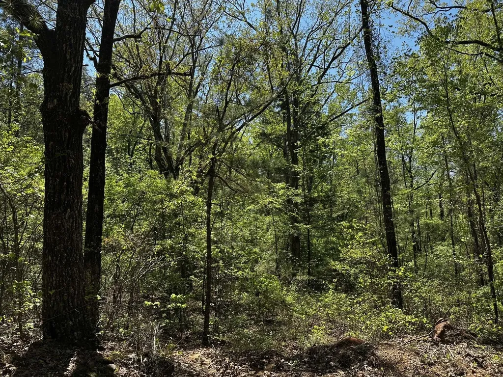 1 Ollie Mccullough Road Sprott AL 36756