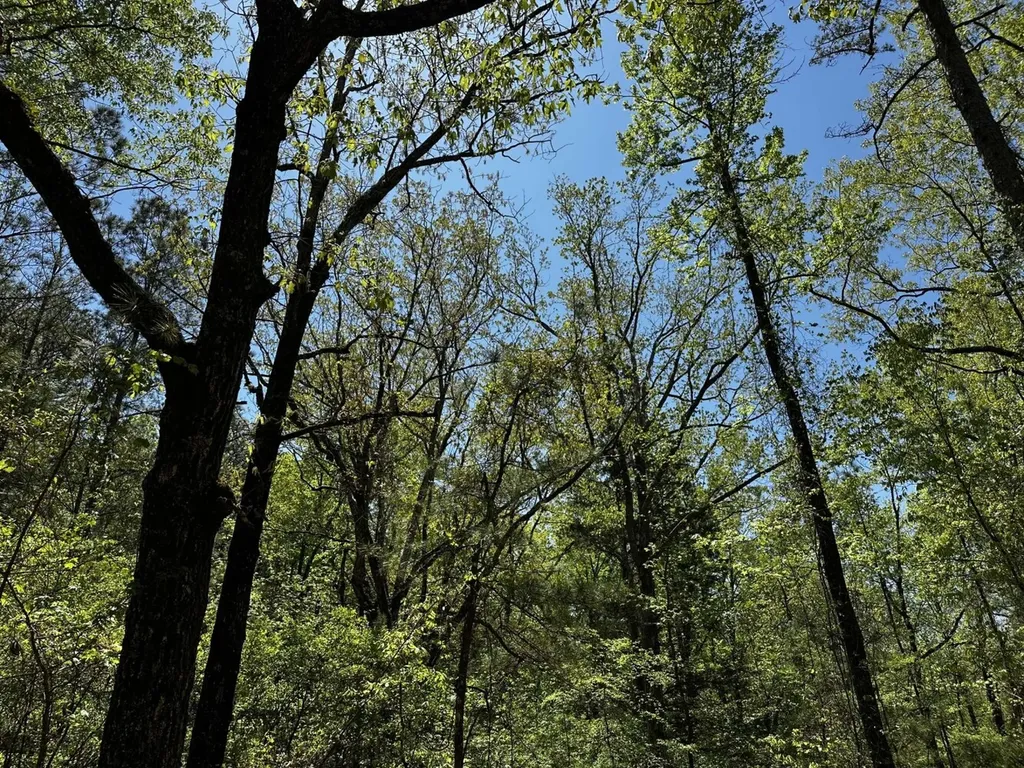 1 Ollie Mccullough Road Sprott AL 36756