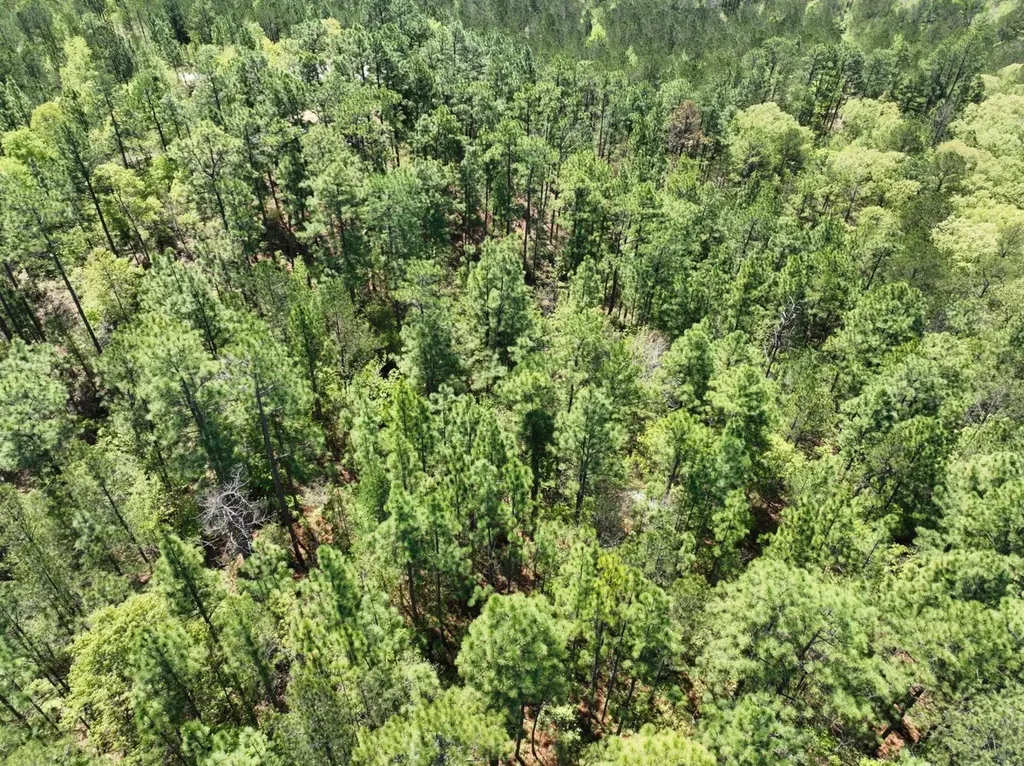 1 Ollie Mccullough Road Sprott AL 36756