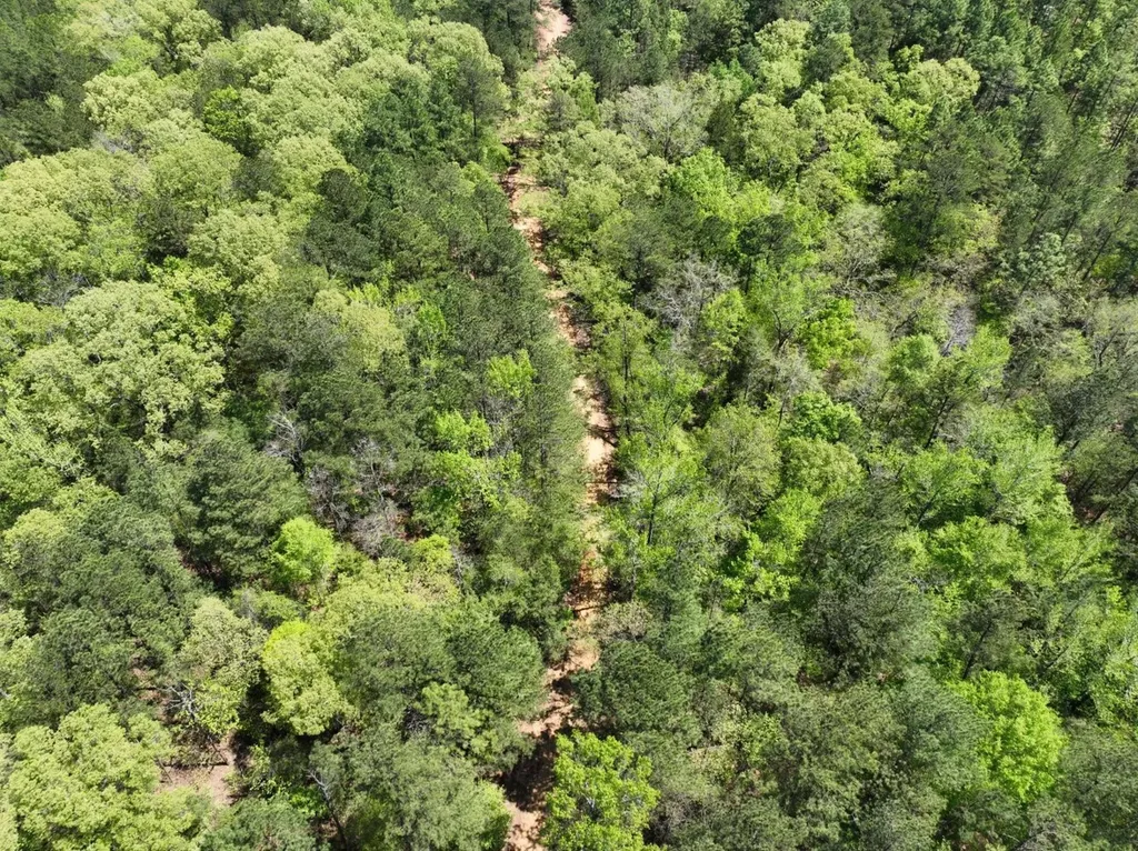 1 Ollie Mccullough Road Sprott AL 36756