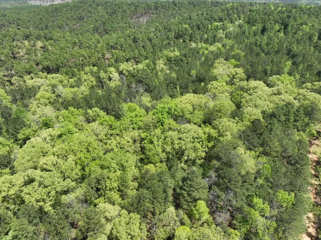 1 Ollie Mccullough Road Sprott AL 36756