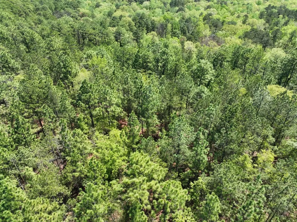 1 Ollie Mccullough Road Sprott AL 36756