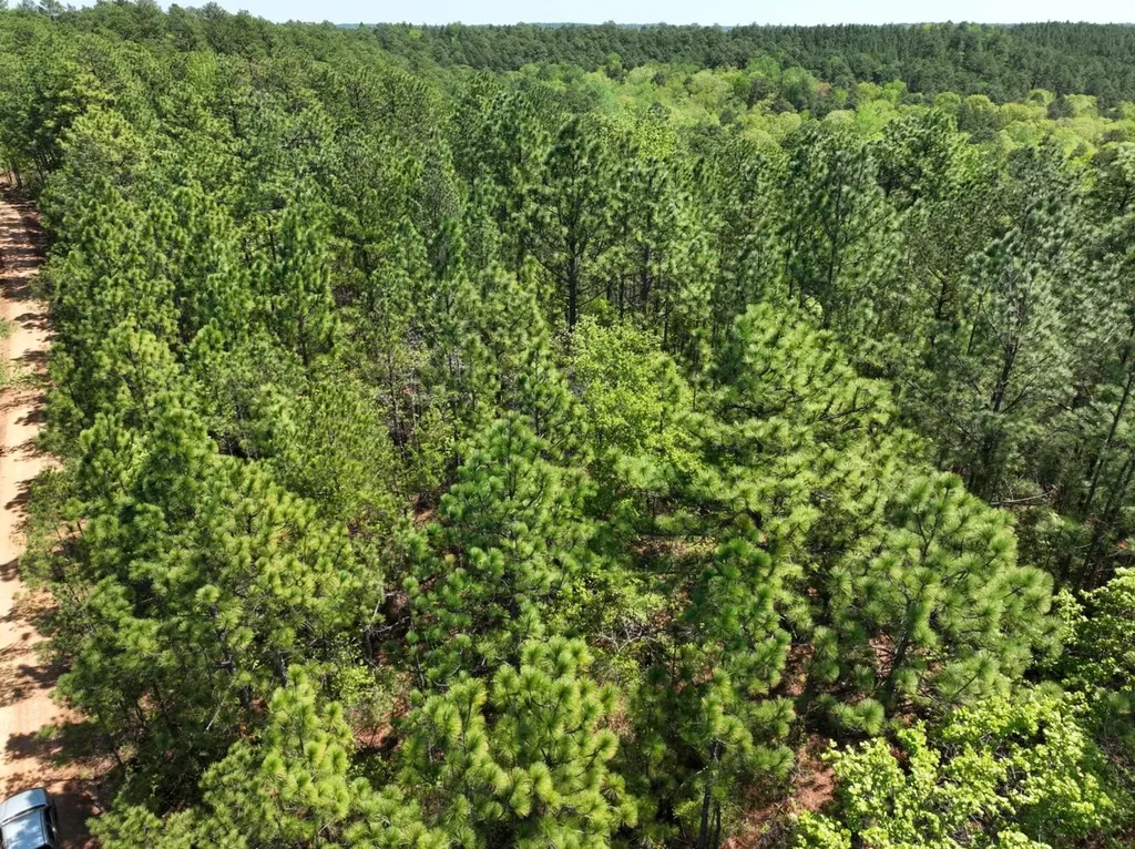 1 Ollie Mccullough Road Sprott AL 36756