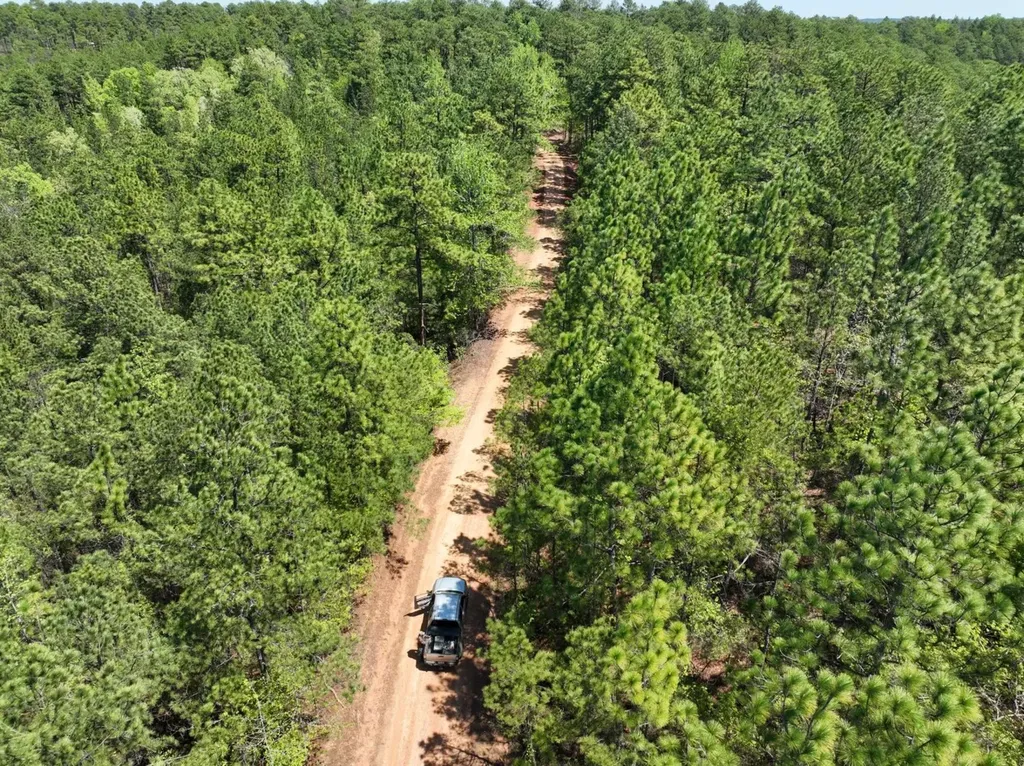 1 Ollie Mccullough Road Sprott AL 36756