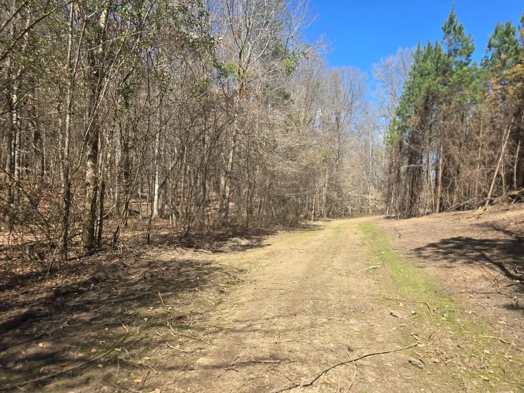 0 Highway 82 E Centreville AL 35042