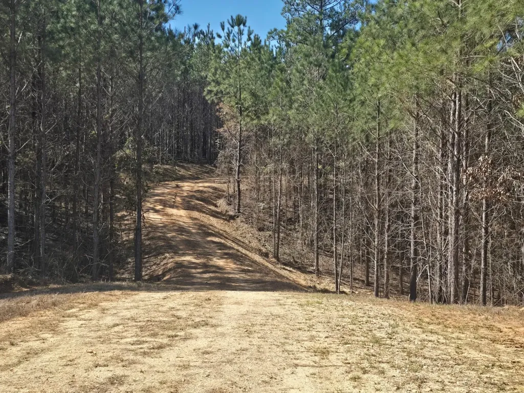 0 Highway 82 E Centreville AL 35042