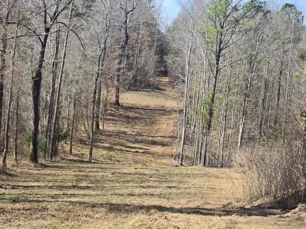 0 Highway 82 E Centreville AL 35042