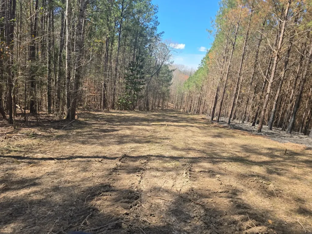0 Highway 82 E Centreville AL 35042