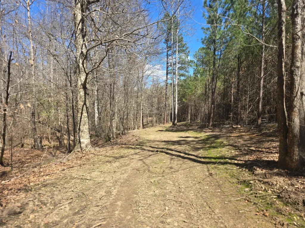 0 Highway 82 E Centreville AL 35042