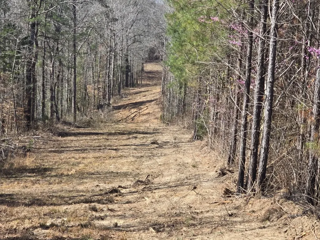 0 Highway 82 E Centreville AL 35042