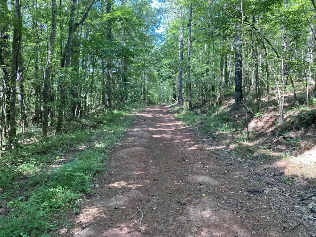 0 Poe Bridge Road Goodwater AL 35072