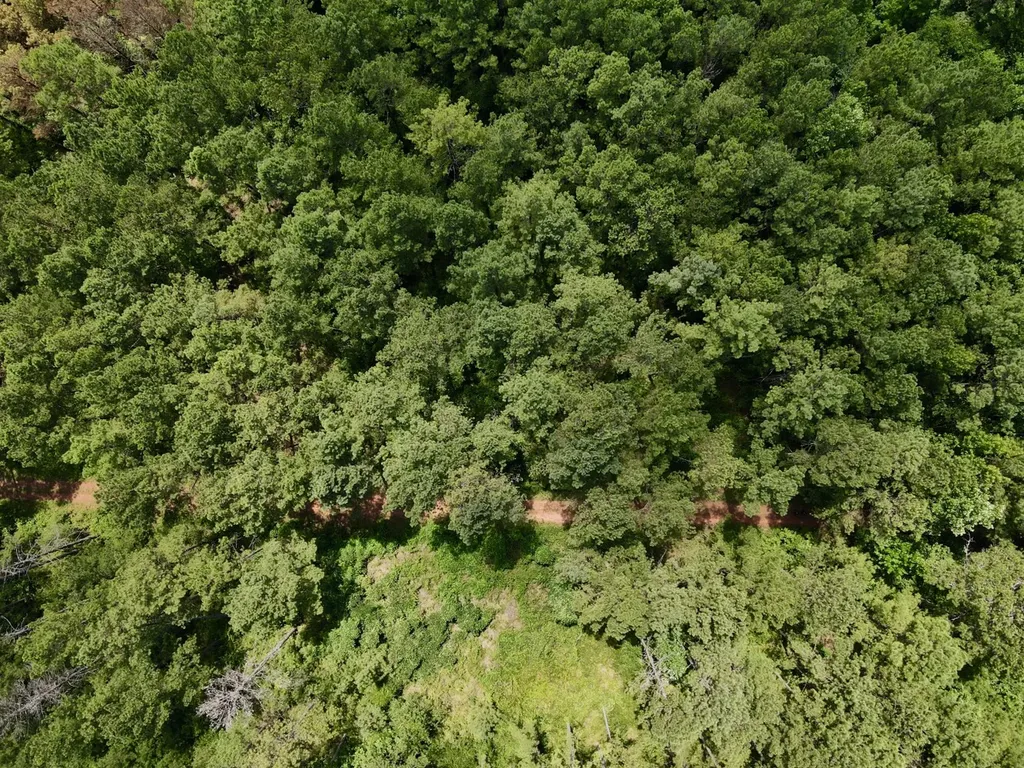 0 Poe Bridge Road Goodwater AL 35072