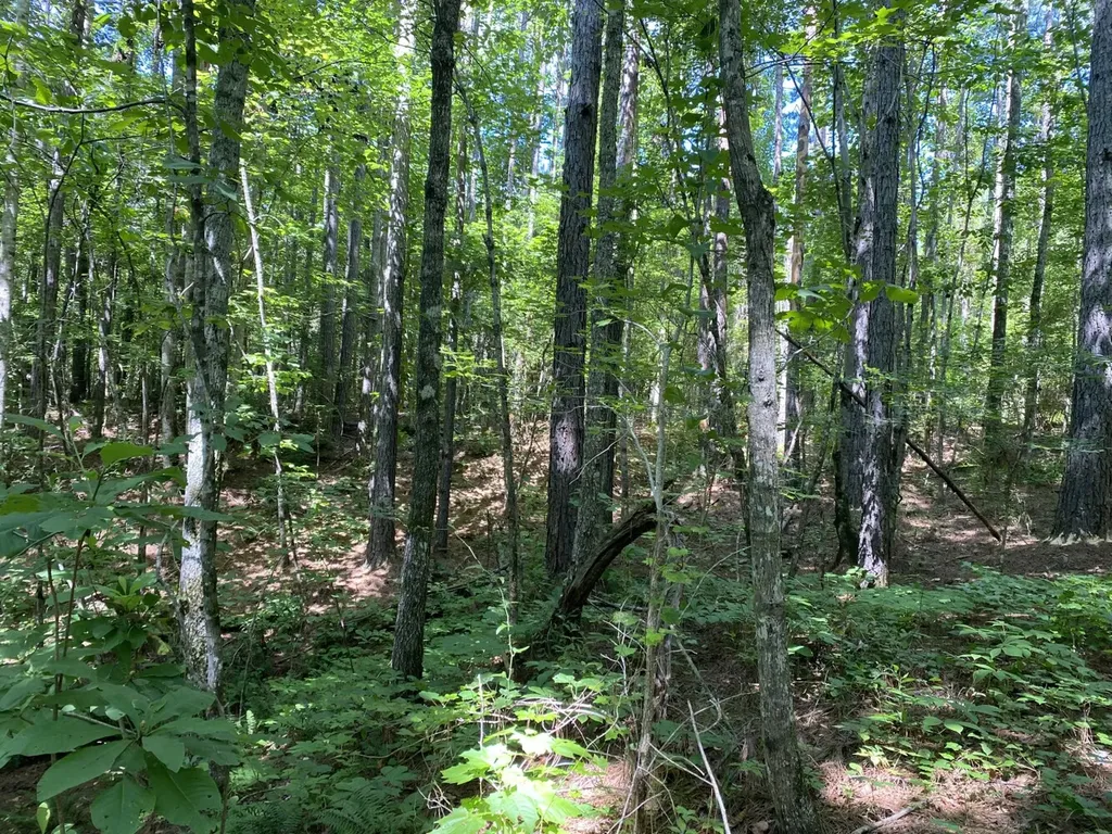 0 Poe Bridge Road Goodwater AL 35072