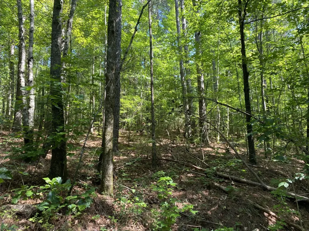 0 Poe Bridge Road Goodwater AL 35072