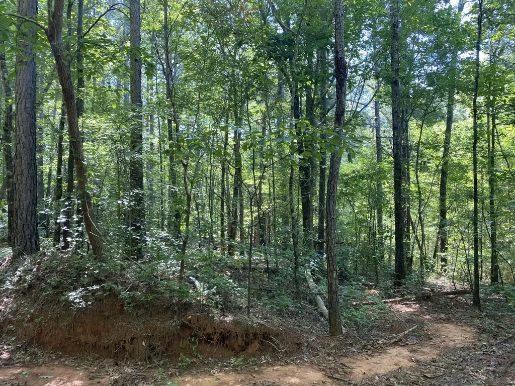 0 Poe Bridge Road Goodwater AL 35072