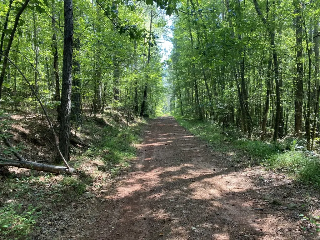 0 Poe Bridge Road Goodwater AL 35072