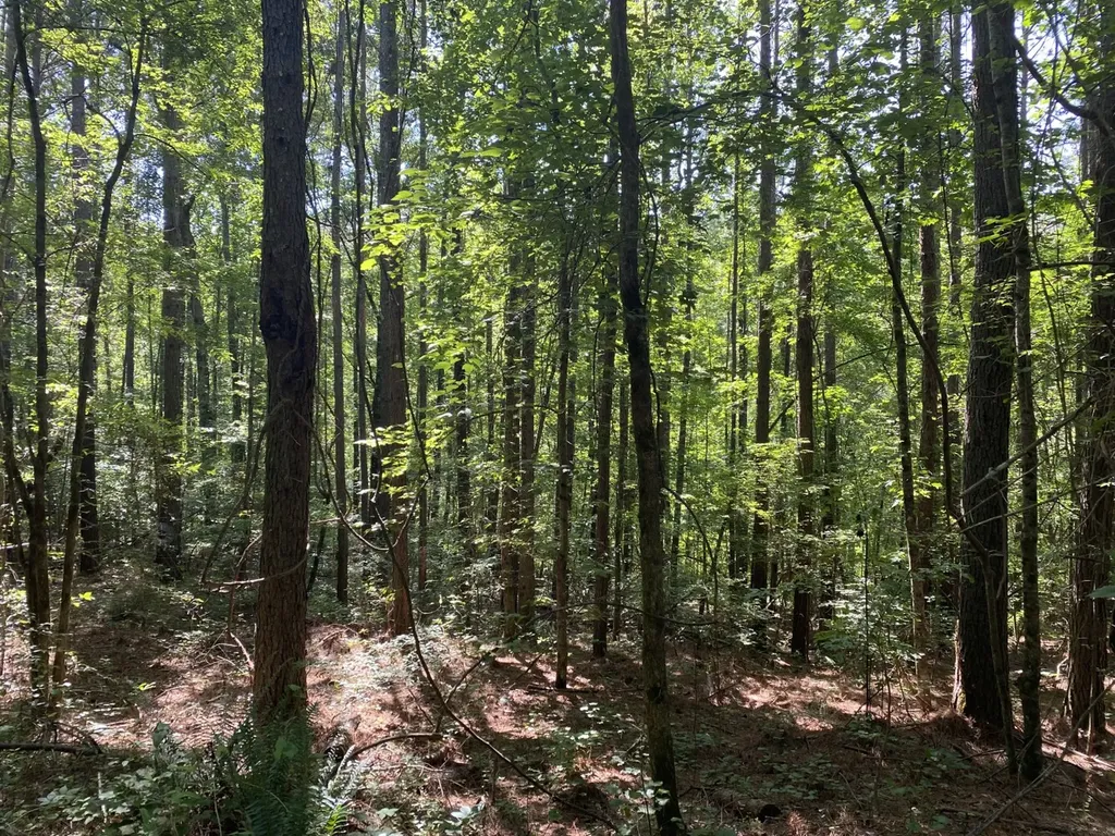 0 Poe Bridge Road Goodwater AL 35072