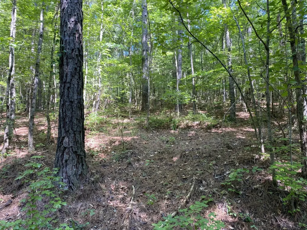 0 Poe Bridge Road Goodwater AL 35072