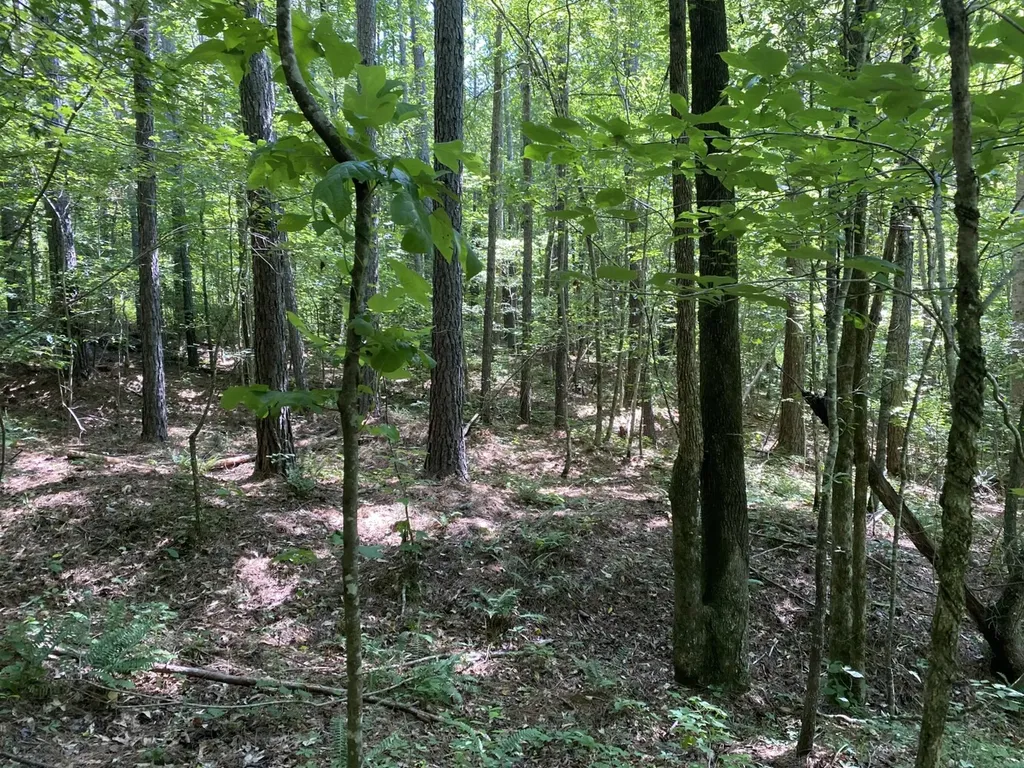 0 Poe Bridge Road Goodwater AL 35072