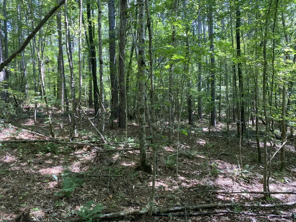 0 Poe Bridge Road Goodwater AL 35072