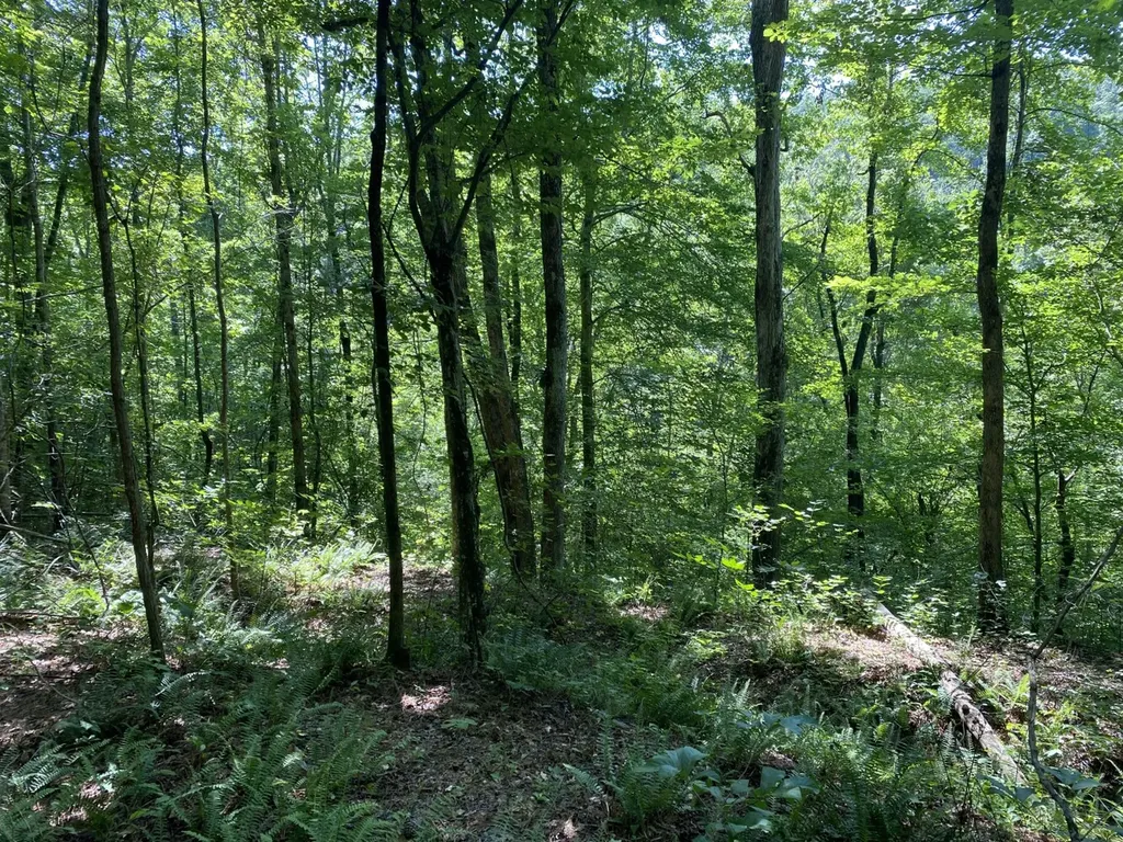 0 Poe Bridge Road Goodwater AL 35072