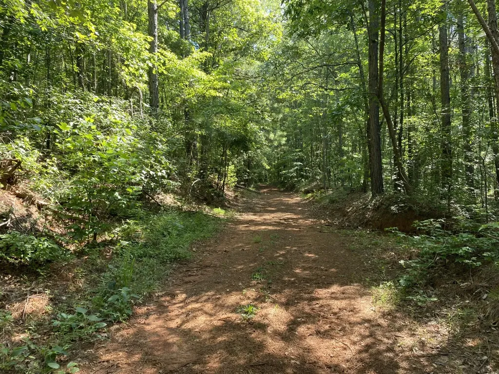 0 Poe Bridge Road Goodwater AL 35072