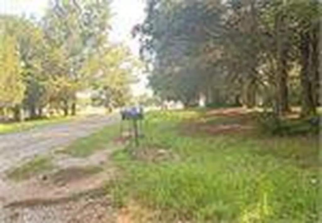 5200 Highway 62 Vincent AL 35178