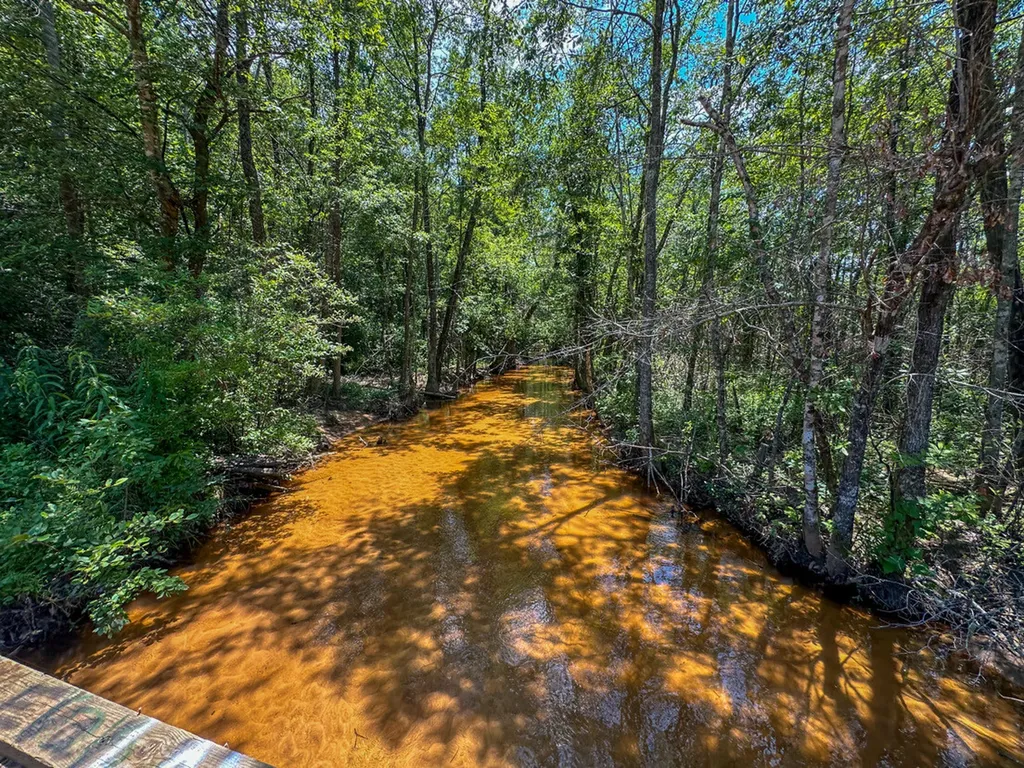 0 Holsombech Swamp Road Sprott AL 36756