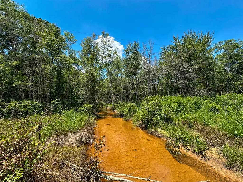 0 Holsombech Swamp Road Sprott AL 36756