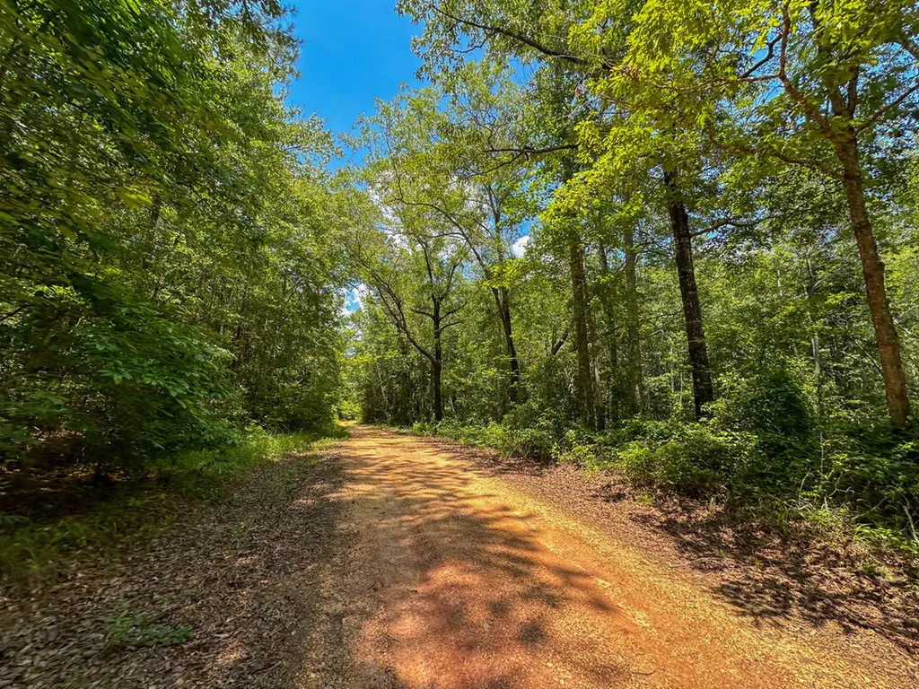 0 Holsombech Swamp Road Sprott AL 36756