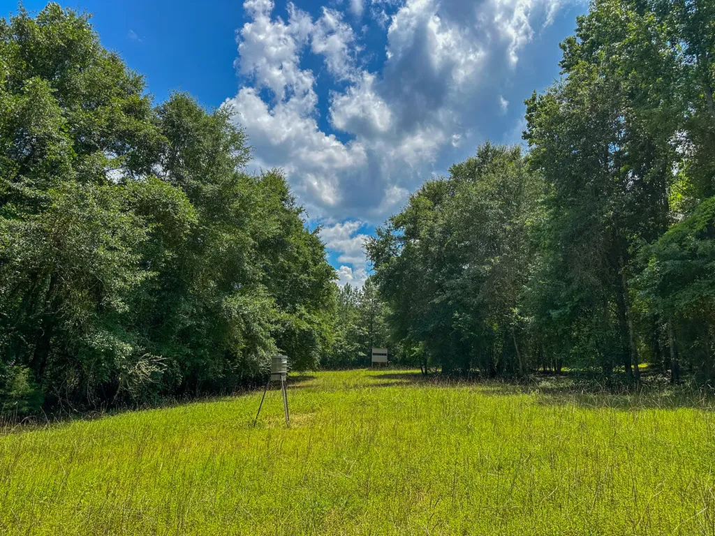 0 Holsombech Swamp Road Sprott AL 36756