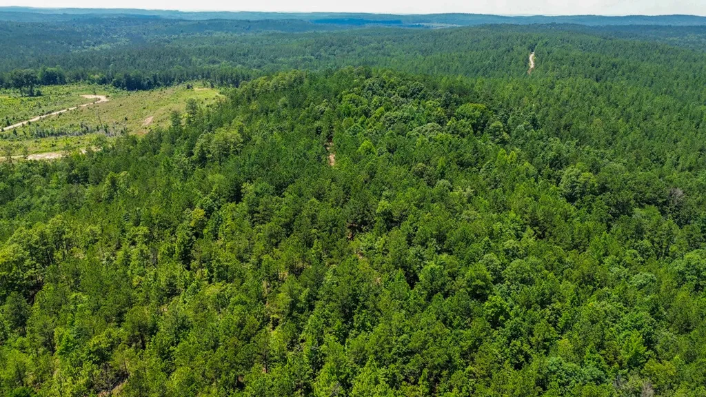 0 Holsombech Swamp Road Sprott AL 36756