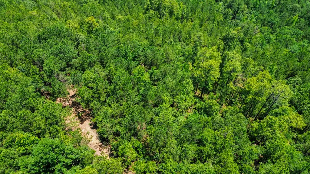 0 Holsombech Swamp Road Sprott AL 36756