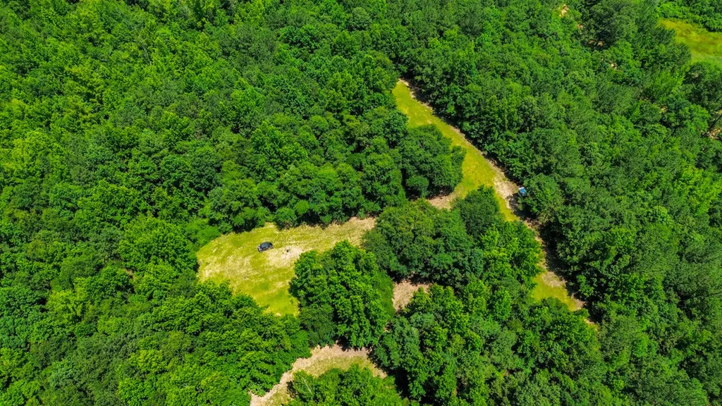 0 Holsombech Swamp Road Sprott AL 36756