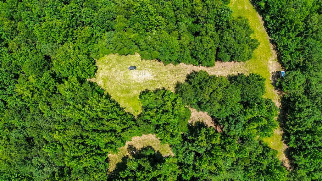 0 Holsombech Swamp Road Sprott AL 36756