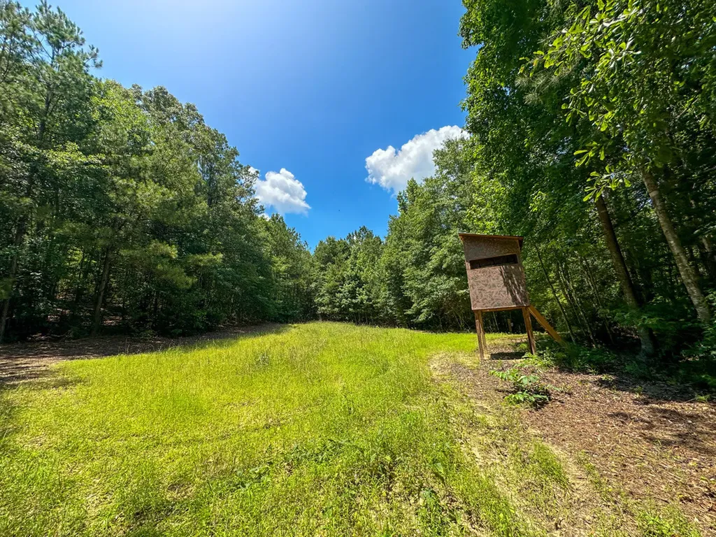 0 Holsombech Swamp Road Sprott AL 36756