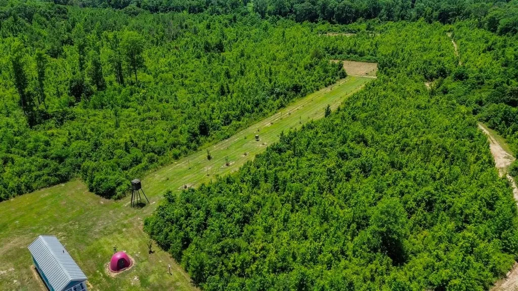 2471 Camden Bypass Camden AL 36726